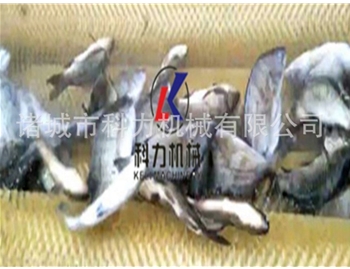 魚(yú)鱗清洗機