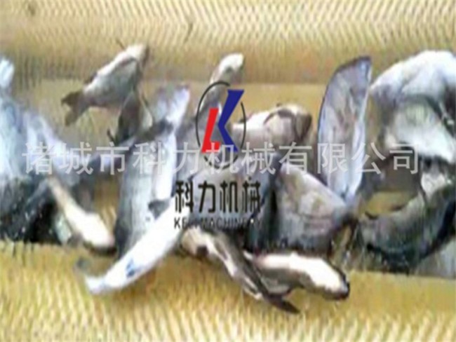 魚(yú)鱗清洗機