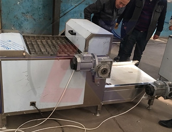 帶魚(yú)切段機