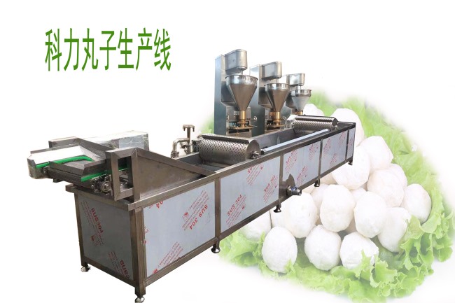 科力丸子生產(chǎn)線(xiàn)